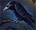 corvo