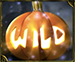 wild