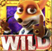 wild