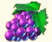 uvas