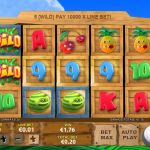 Funky Fruits Farm